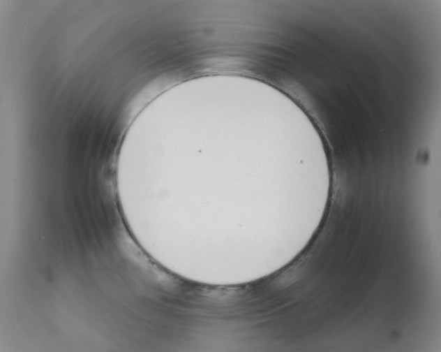 X0000111781386200909031122