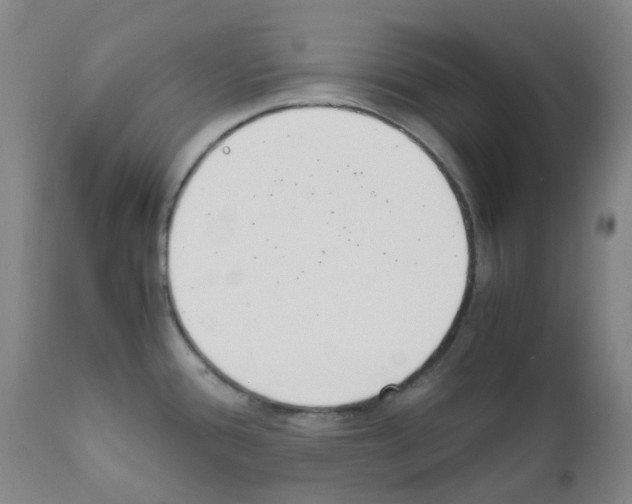 X0000111781388200909031122
