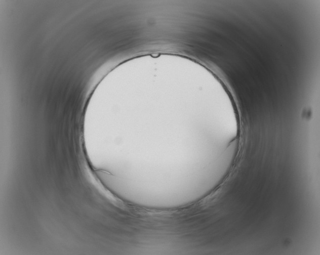 X0000111781389200909031122