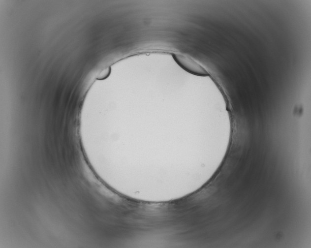 X0000111781390200909031122