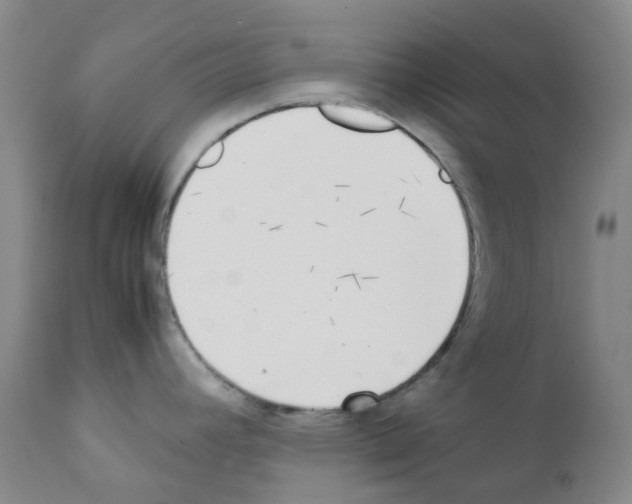 X0000111781392200909031122