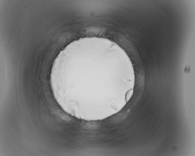 X0000111781393200909031121