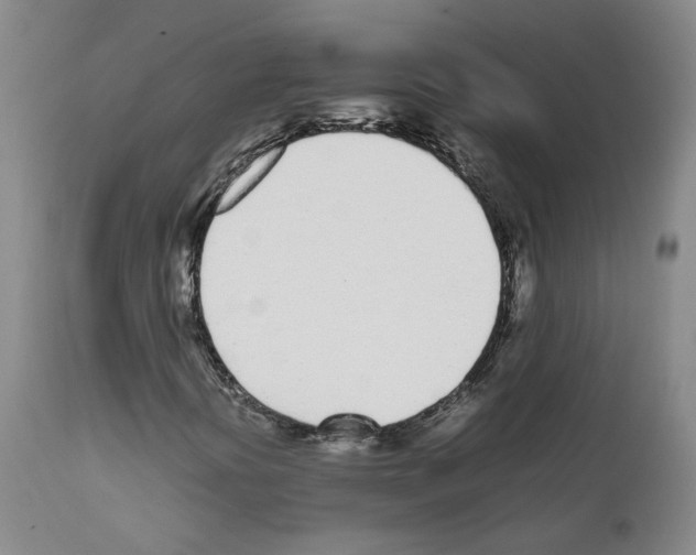 X0000111781394200909031121