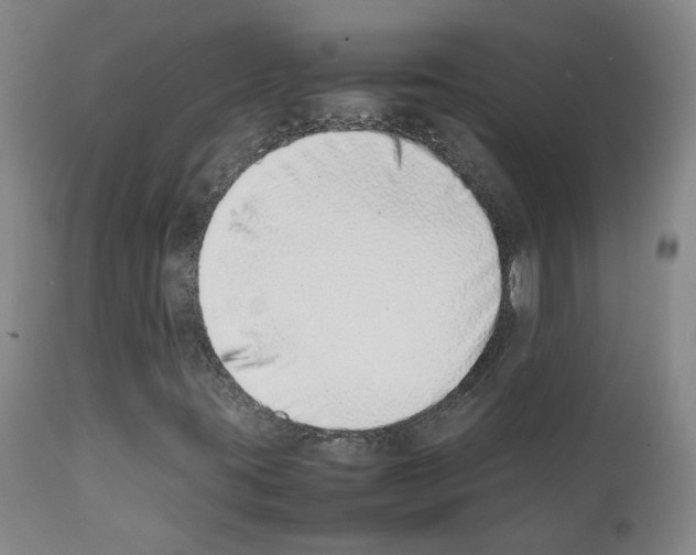 X0000111781395200909031121