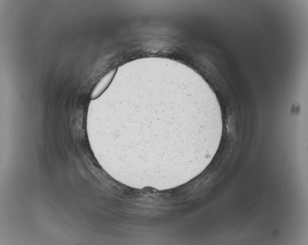 X0000111781396200909031121