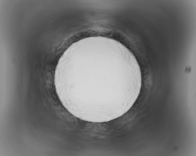 X0000111781397200909031121