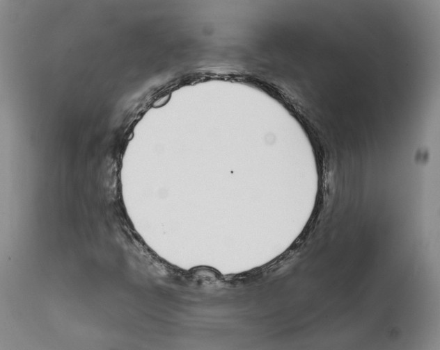 X0000111781398200909031121