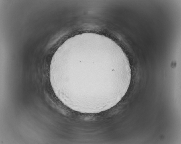 X0000111781399200909031121