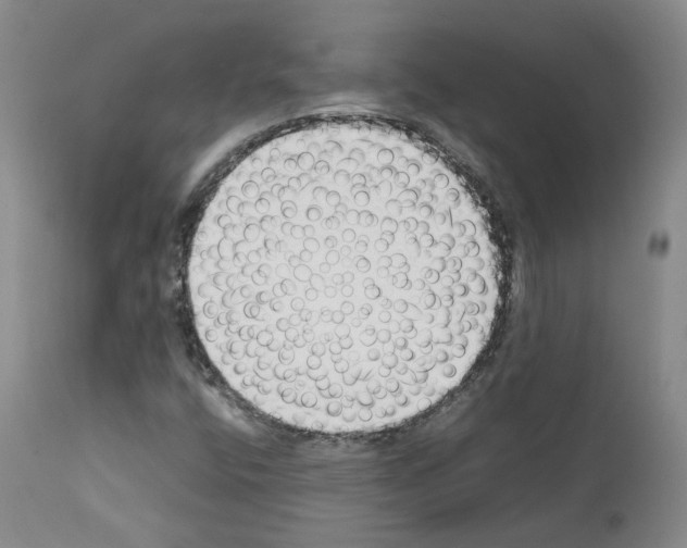 X0000111781400200909031122