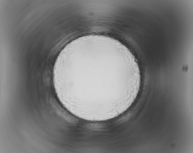 X0000111781401200909031122
