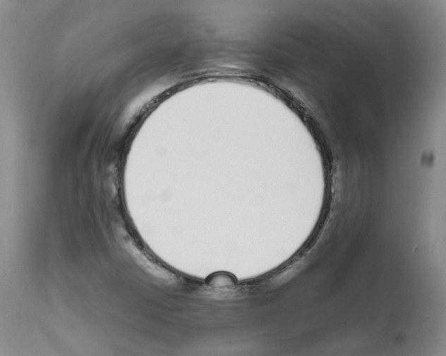 X0000111781402200909031122