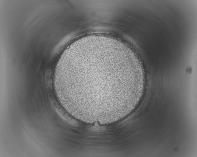 X0000111781403200909031122