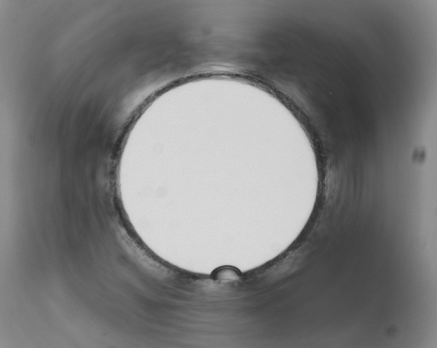 X0000111781404200909031122