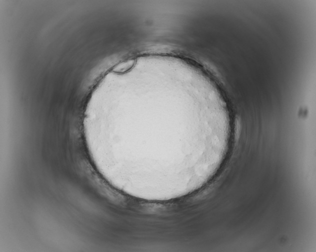 X0000111781405200909031122