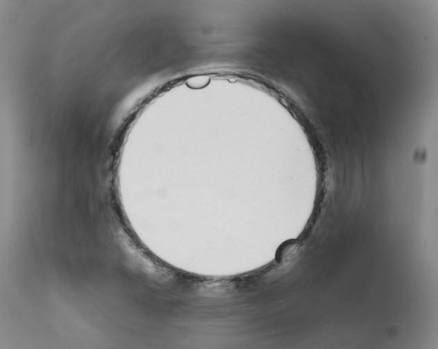 X0000111781406200909031122