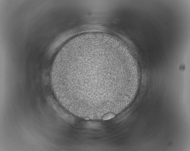X0000111781407200909031122