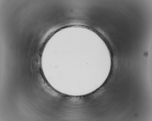 X0000111781408200909031122