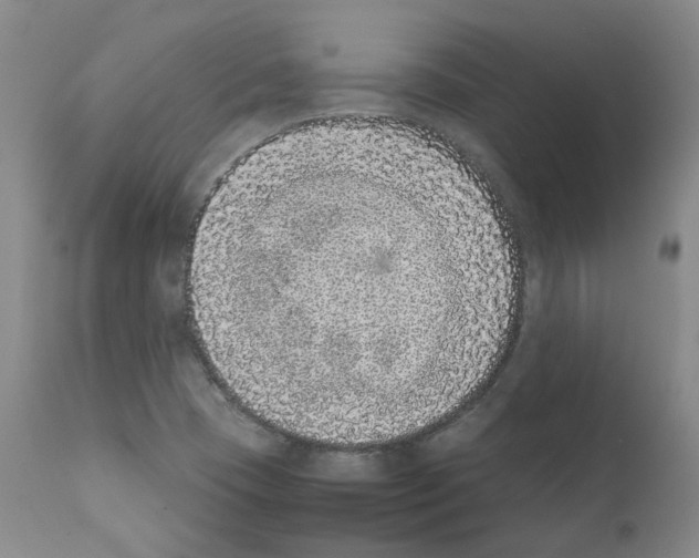 X0000111781409200909031122