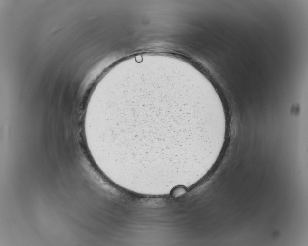 X0000111781410200909031122