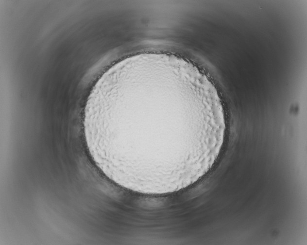 X0000111781411200909031122