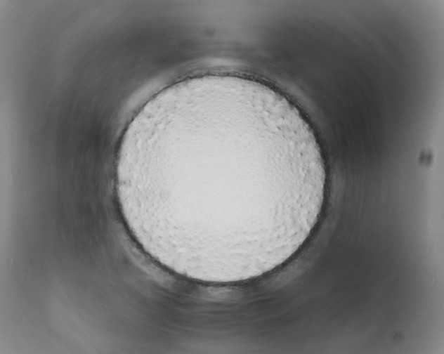 X0000111781413200909031122