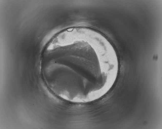 X0000111781414200909031122