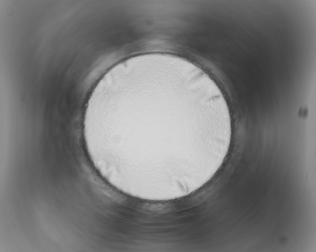 X0000111781415200909031122