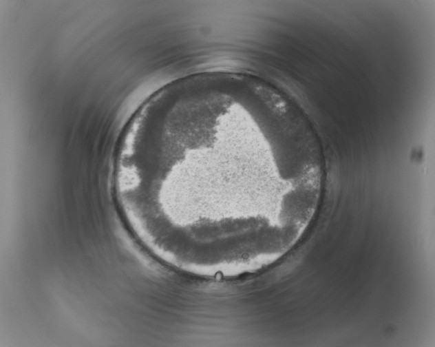 X0000111781418200909031122
