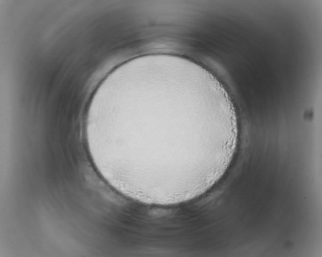 X0000111781419200909031122