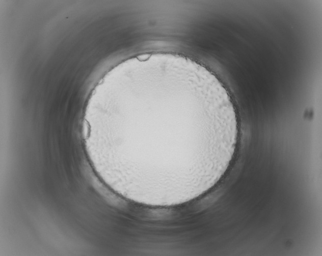 X0000111781421200909031122