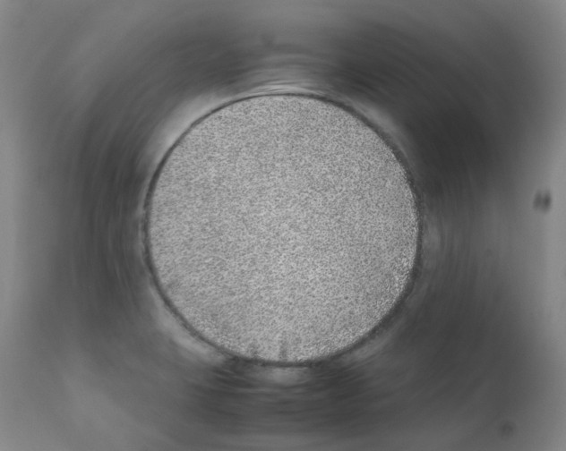 X0000111781423200909031122