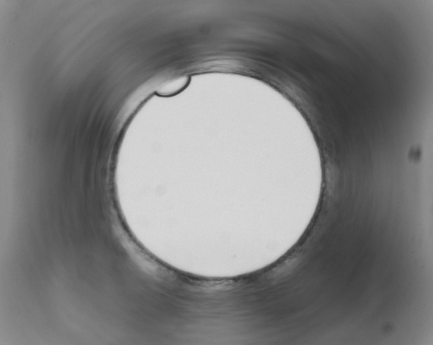 X0000111781426200909031122