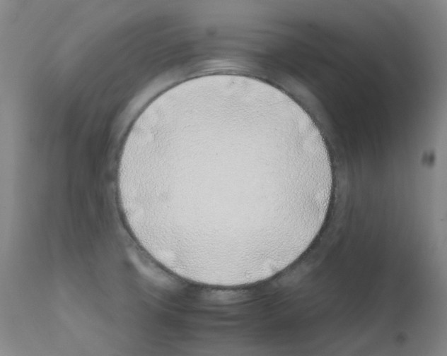 X0000111781427200909031122