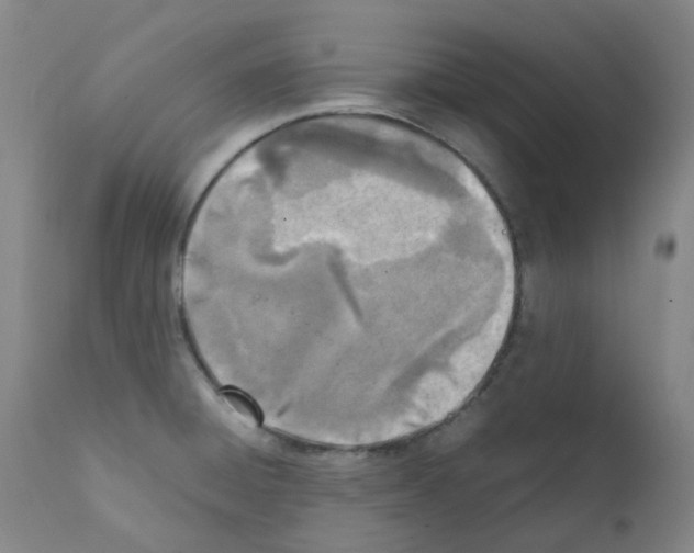 X0000111781428200909031122