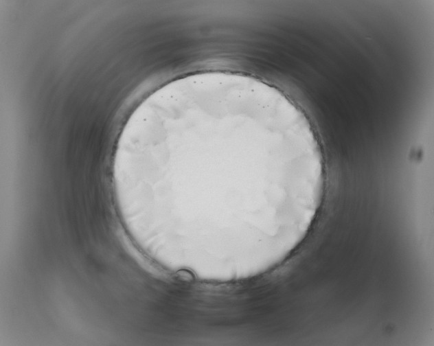 X0000111781429200909031122