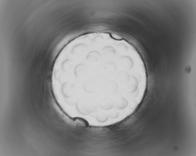 X0000111781432200909031122