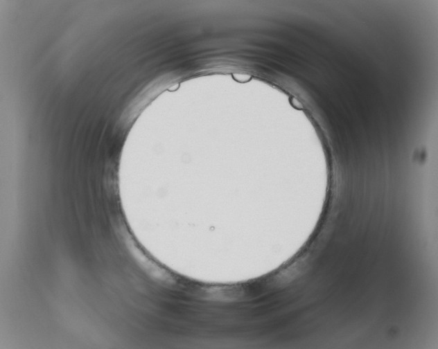 X0000111781433200909031122