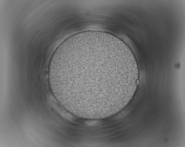 X0000111781435200909031122
