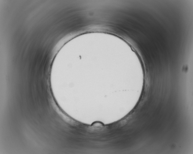 X0000111781437200909031122