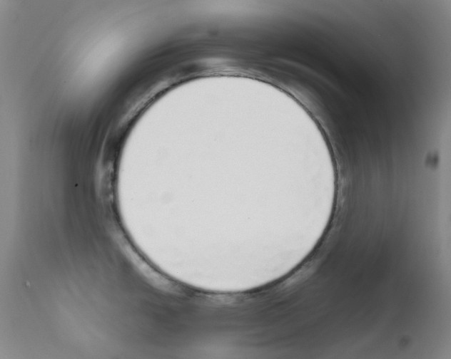 X0000111781438200909031122