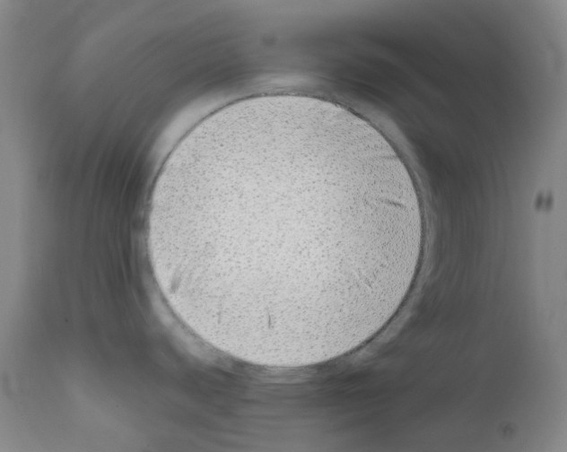 X0000111781440200909031122