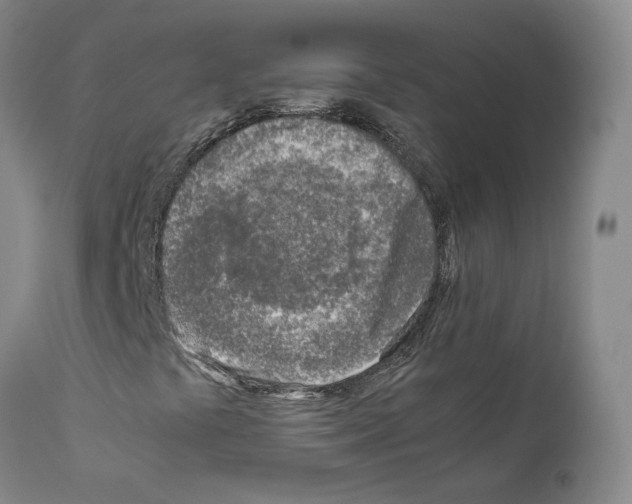 X0000111781441200909031121
