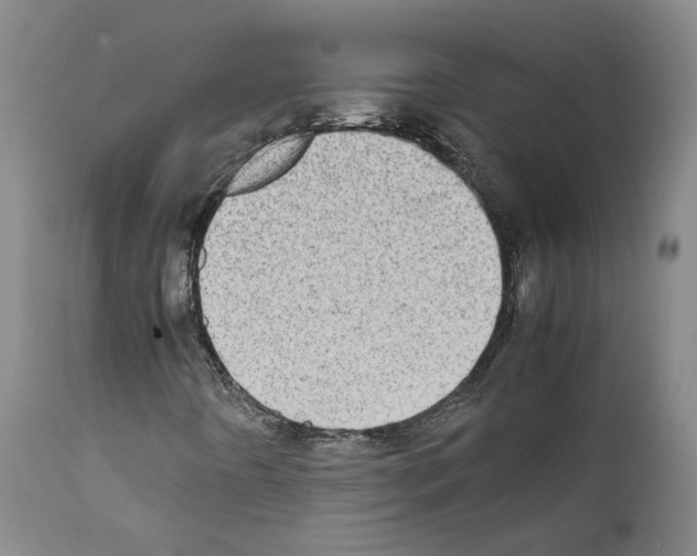 X0000111781442200909031121