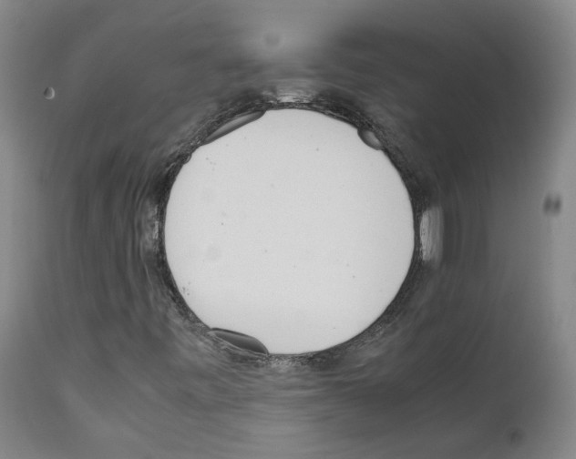 X0000111781443200909031121