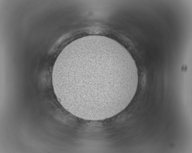 X0000111781446200909031121