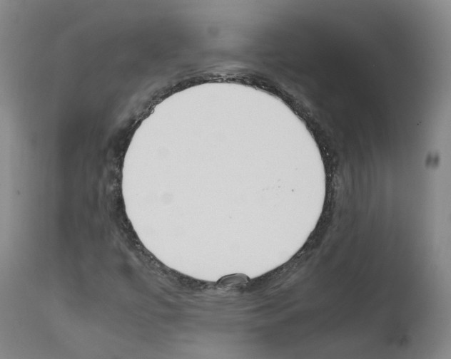 X0000111781447200909031121