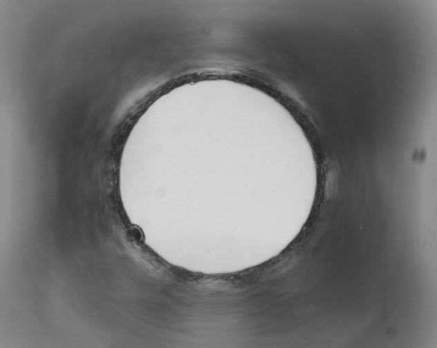X0000111781448200909031121
