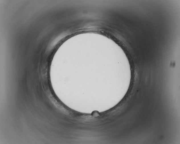X0000111781450200909031121