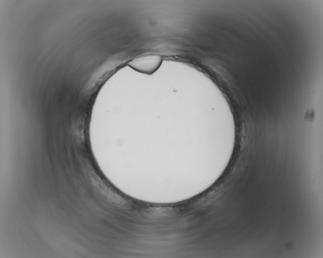 X0000111781451200909031121