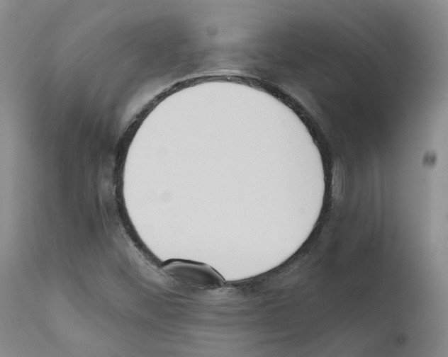X0000111781452200909031121